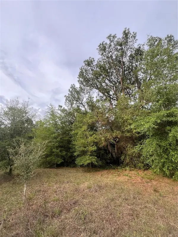 AVENUE G, Mc Intosh, FL 32664
