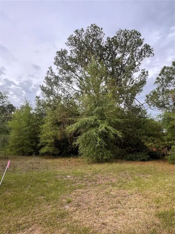 AVENUE G, Mc Intosh, FL 32664