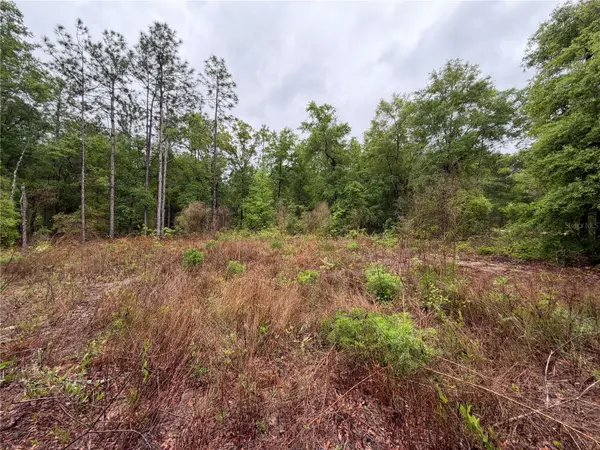 301 RAINBOW DR, Hawthorne, FL 32640