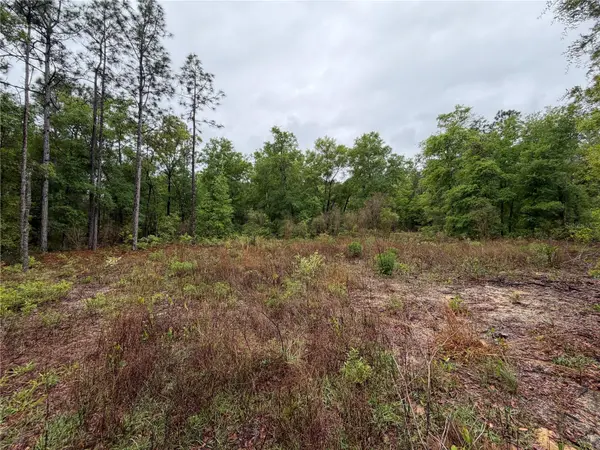 301 RAINBOW DR, Hawthorne, FL 32640