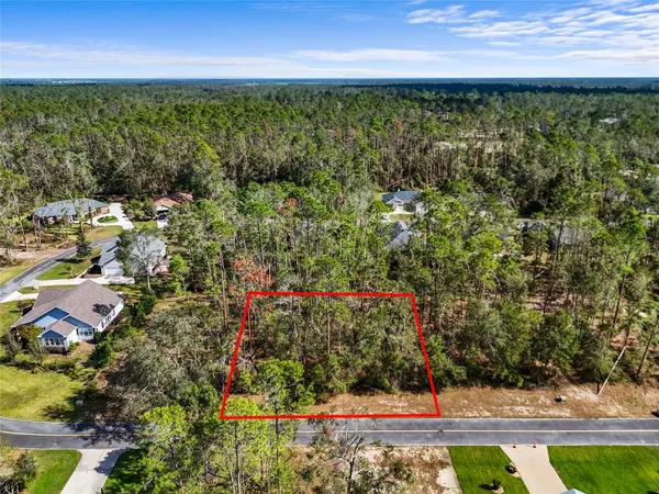 TBD WILDWOOD DR, Live Oak, FL 32060