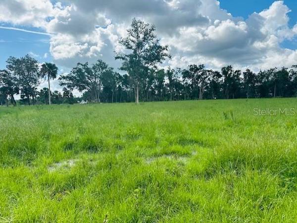 17450 SE HIGHWAY 19, Cross City, FL 32628