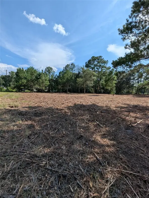 5781 SW 91ST PL, Lake Butler, FL 32054