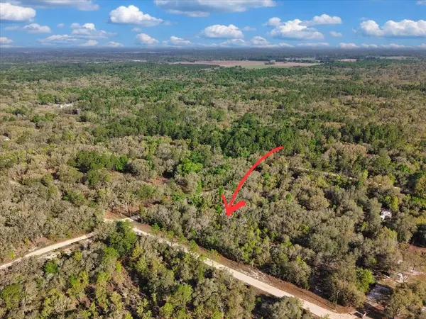 Lot 362 NE 82ND PL, Bronson, FL 32621
