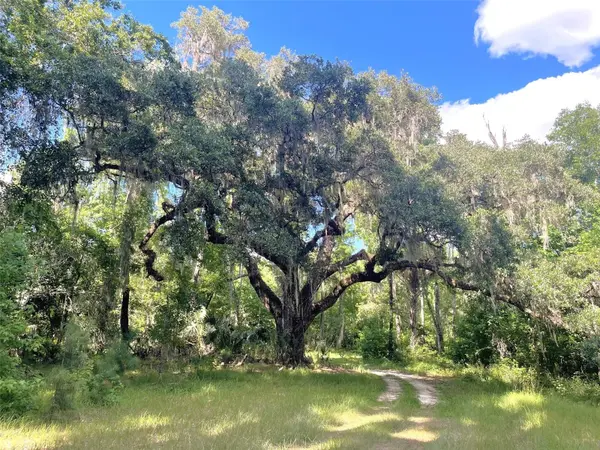 11804 SE COUNTY ROAD 234, Micanopy, FL 32667