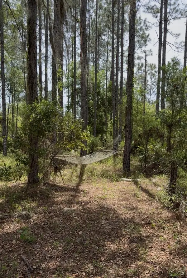 6650 NW 110TH AVE, Chiefland, FL 32626