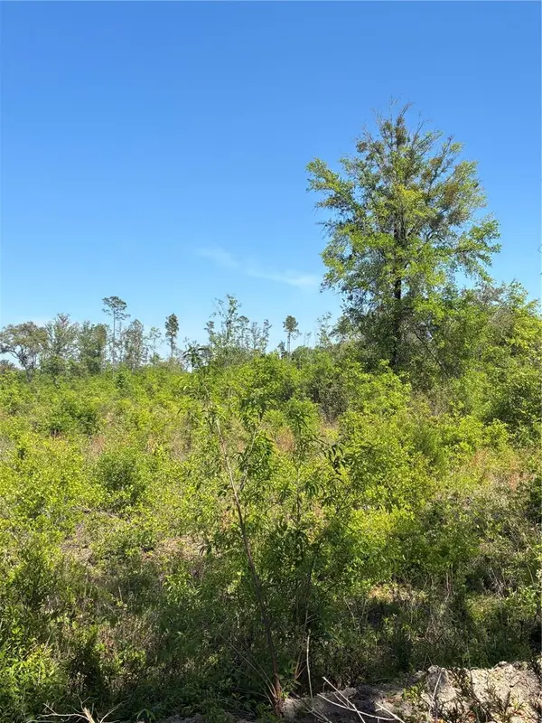 298TH STREET, Newberry, FL 32669
