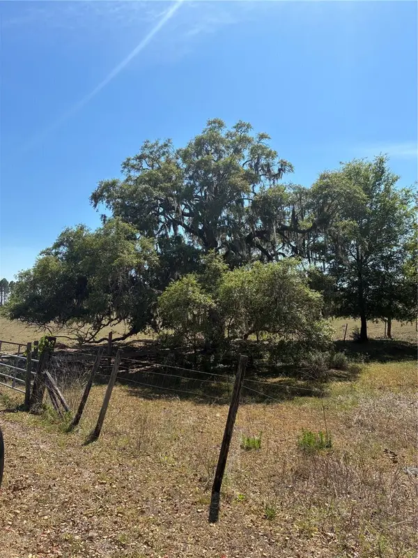 298TH STREET, Newberry, FL 32669