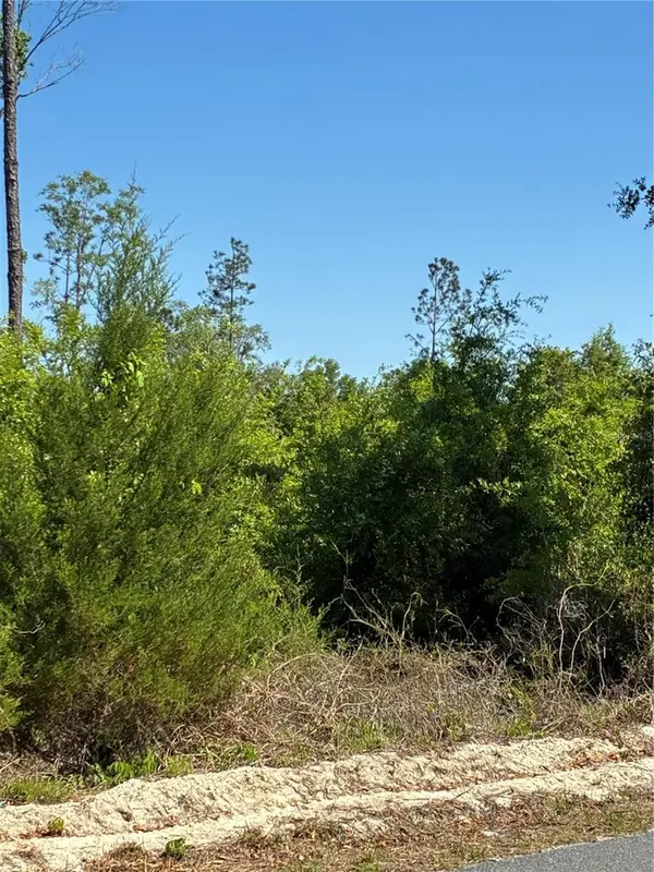 298TH STREET, Newberry, FL 32669