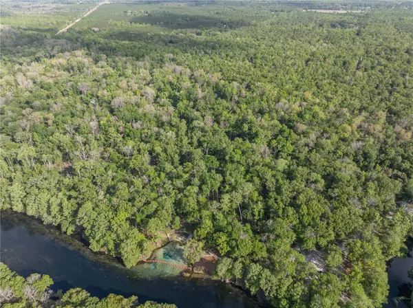 290 SW RATTLESNAKE GLN, Fort White, FL 32038