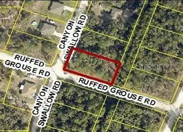 0 CANYON SWALLOW RD (PARCEL KEY 00784734), Weeki Wachee, FL 34614