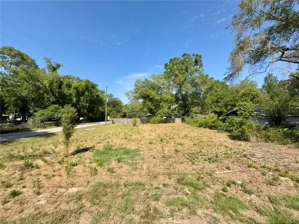 TBD NW 12TH LN, Morriston, FL 32668