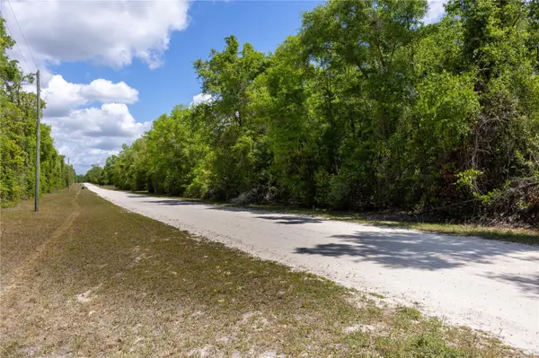 SW LONCALA LOOP, Fort White, FL 32038