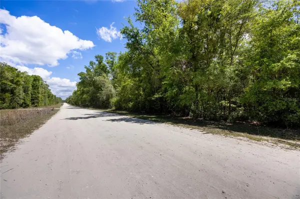 SW LONCALA LOOP, Fort White, FL 32038