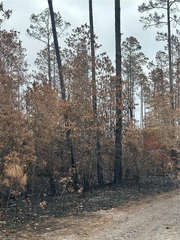 TBD NW 2ND AVE, Palatka, FL 32177