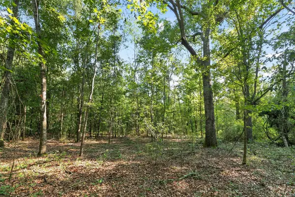 4814 NW 244 AVE, Alachua, FL 32615