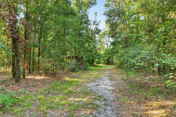 4814 NW 244 AVE, Alachua, FL 32615
