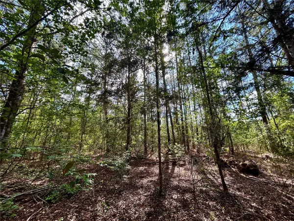 4819 NE 211TH DR, Earleton, FL 32631