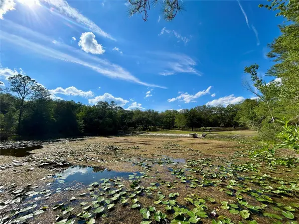 4819 NE 211TH DR, Earleton, FL 32631