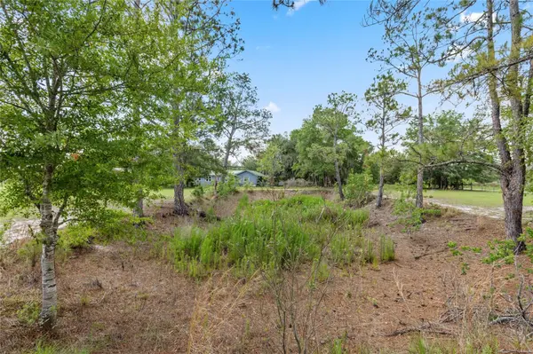 11115 SW 105TH ST, Brooker, FL 32622