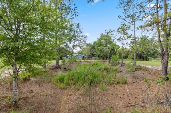 11115 SW 105TH ST, Brooker, FL 32622