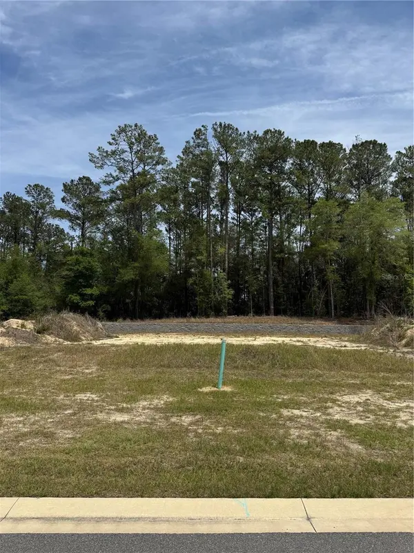 1047 SW 147TH TER, Newberry, FL 32669