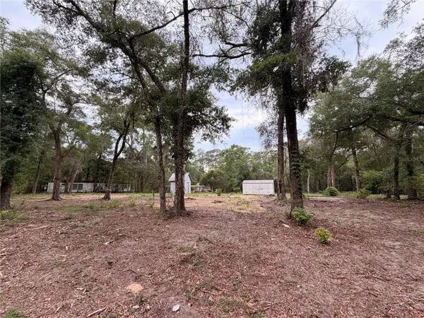 117 BREEZY OAK LN, Fort Mc Coy, FL 32134