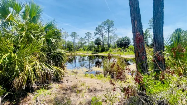 TBD SW 101ST LN, Cedar Key, FL 32625