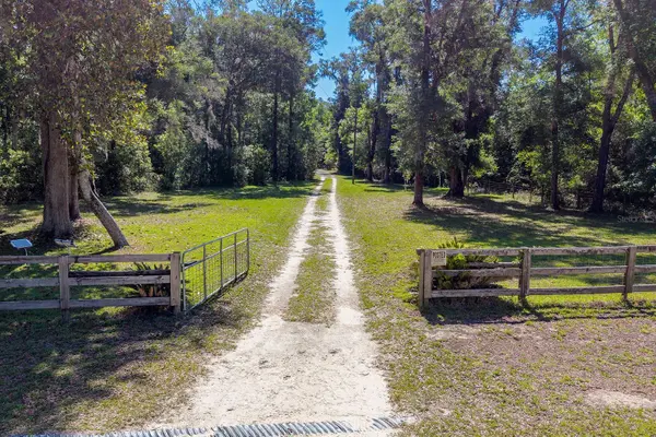 343 NE 743RD ST, Old Town, FL 32680