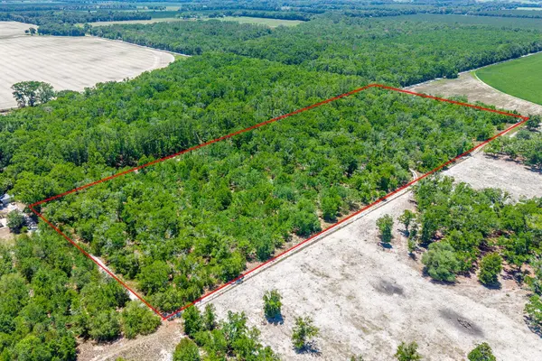 TBD NW 40 AVE, Bell, FL 32619