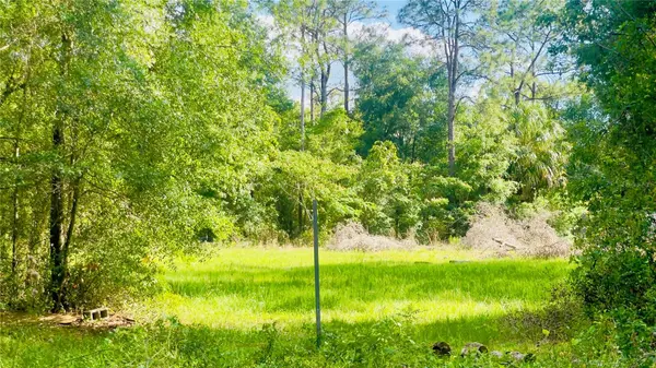 Lot 1 NE 66TH LN, Bronson, FL 32621