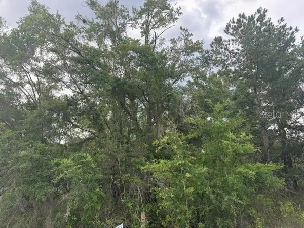21902 NE 69TH PL, Melrose, FL 32666
