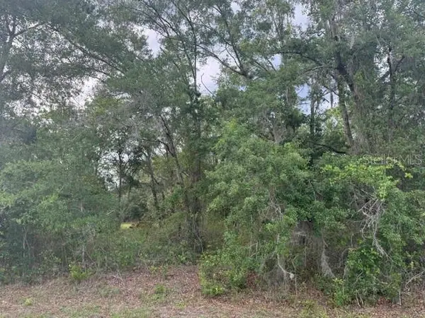 21902 NE 69TH PL, Melrose, FL 32666