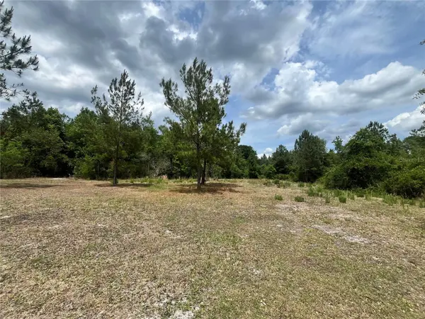 0 NW COUNTY ROAD 229, Starke, FL 32091