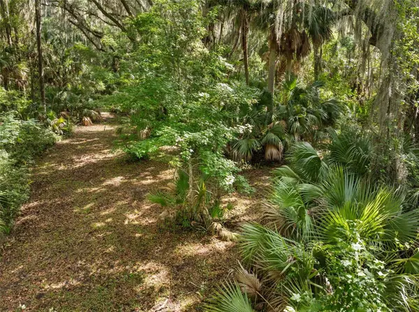 TBD SE WACAHOOTA RD, Micanopy, FL 32667