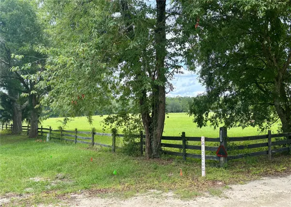 NW 202ND STREET, High Springs, FL 32643