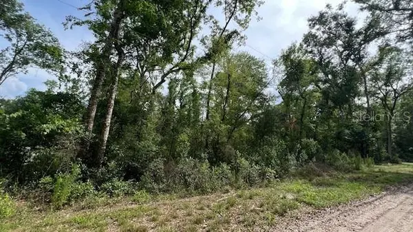 SW BUMBLE ST, Fort White, FL 32038