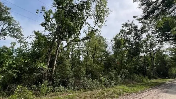 SW BUMBLE ST, Fort White, FL 32038