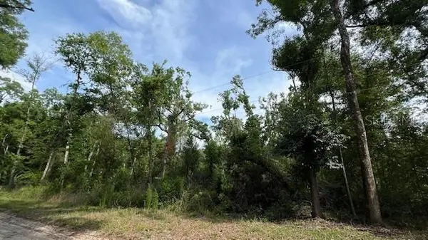 SW BUMBLE ST, Fort White, FL 32038