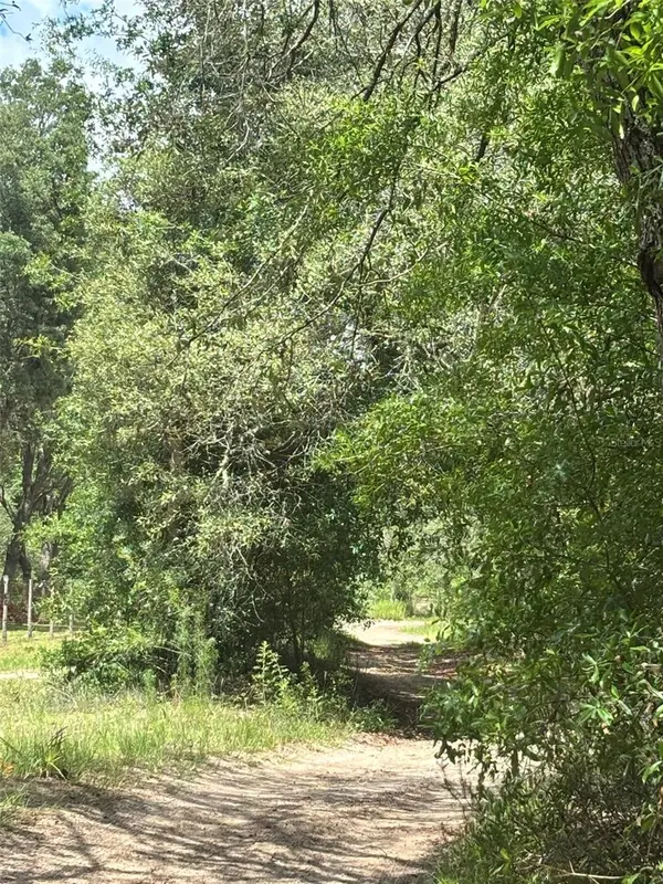 83RD LN, Bronson, FL 32621