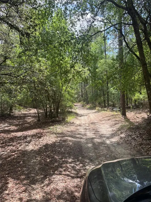 83RD LN, Bronson, FL 32621