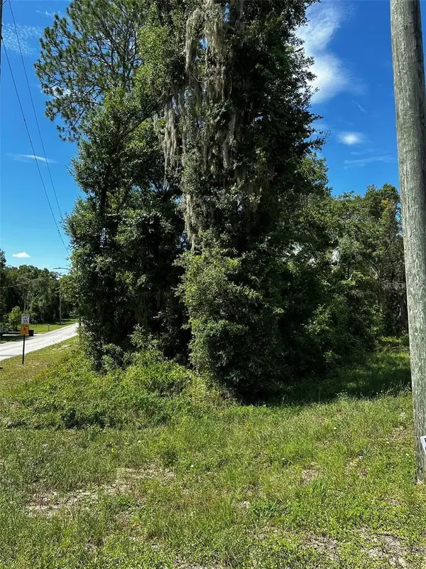 xx THRASHER DR, Bronson, FL 32621