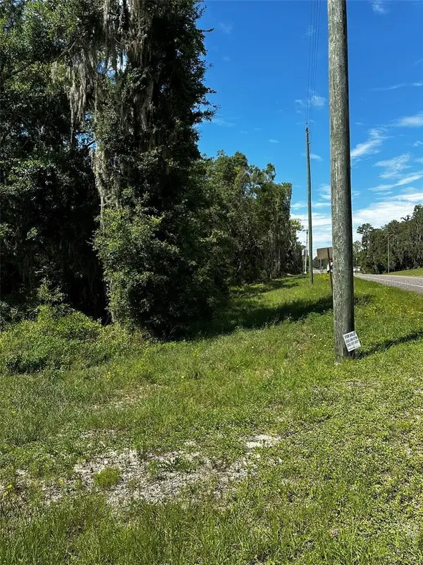 xx THRASHER DR, Bronson, FL 32621