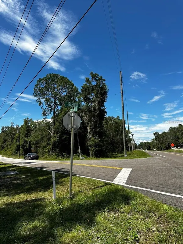 xx THRASHER DR, Bronson, FL 32621