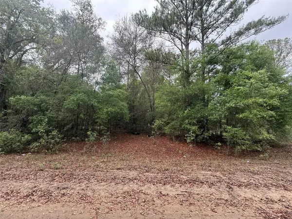 MALTAS AVE, Interlachen, FL 32148