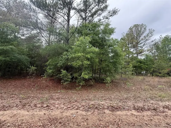 MALTAS AVE, Interlachen, FL 32148