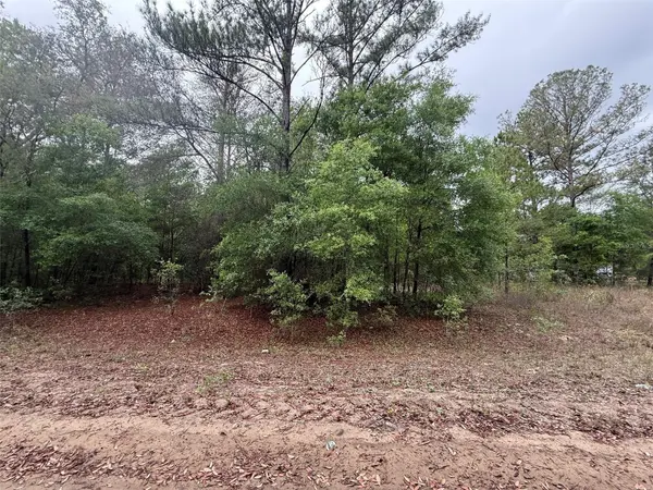 MALTAS AVE, Interlachen, FL 32148