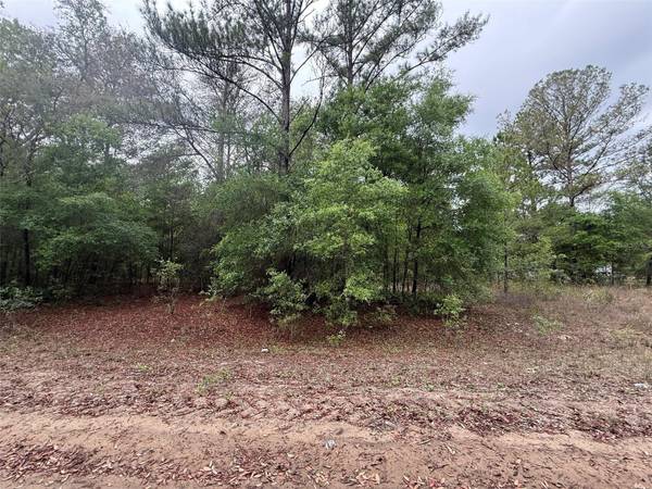 MALTAS AVE, Interlachen, FL 32148