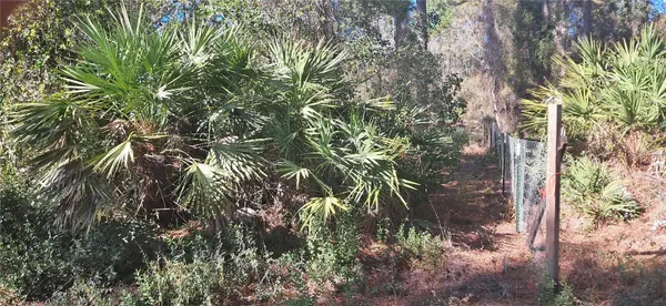120 GARDENIA AVE, Georgetown, FL 32139