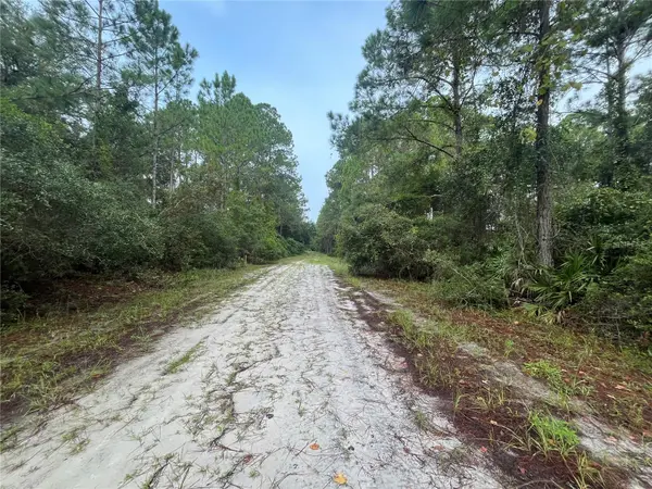 120 GARDENIA AVE, Georgetown, FL 32139